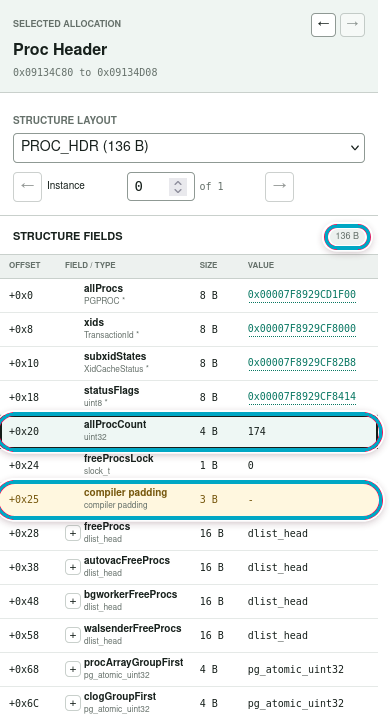 pg_shmemviz Structure Fields and padding